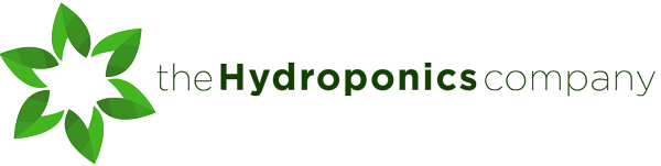 Thc Thc Global Group Stock Price